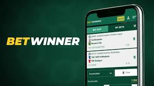 BetWinner Withdrawal Methods A Comprehensive Guide BetWinner Withdrawal Methods A Comprehensive Guide