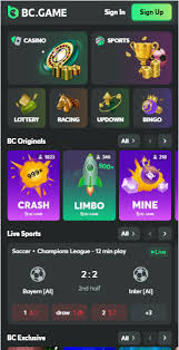 Unleashing Fun with BC.Game Online Casino A Comprehensive Guide